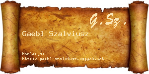 Gaebl Szalviusz névjegykártya